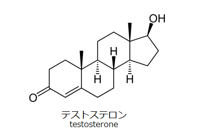 テストステロン