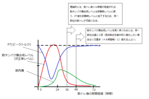 トレーニング頻度