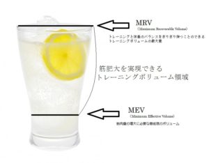 トレーニングボリュームの概念