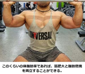 筋肥大と脂肪燃焼