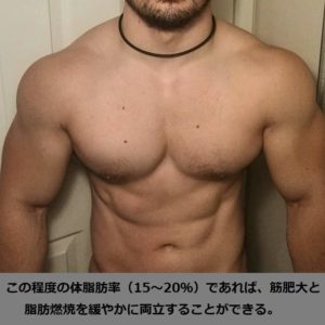 筋肥大と脂肪燃焼