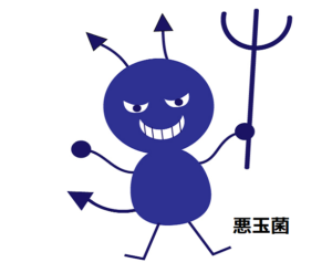 悪玉菌