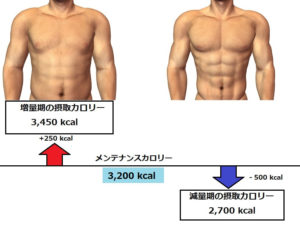 減量期の摂取カロリー