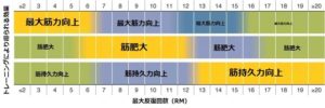 筋肥大に最適なレップ数