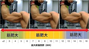筋肥大に最適なレップ数