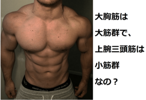 筋肉の大きさ