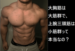 筋トレの順番