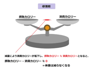 減量の停滞期