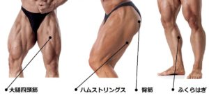 脚の筋トレ