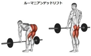 脚の筋トレ
