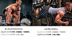 ハムストリングス
