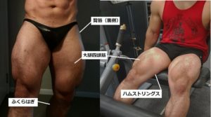 脚の筋トレ