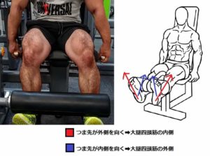レッグエクステンション
