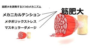 忙しい人のための筋トレ