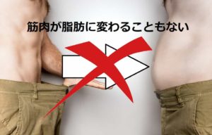 脂肪は筋肉に変わるか