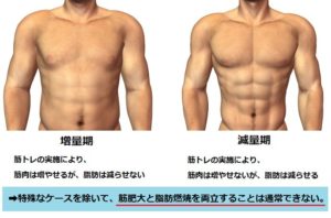 脂肪は筋肉に変わるか