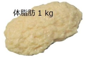 体脂肪率5%