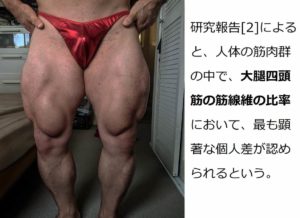 筋線維