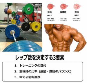 筋線維