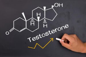 テストステロンを爆発的に増やす 卵を日常的に摂取して筋肥大を引き出そう！